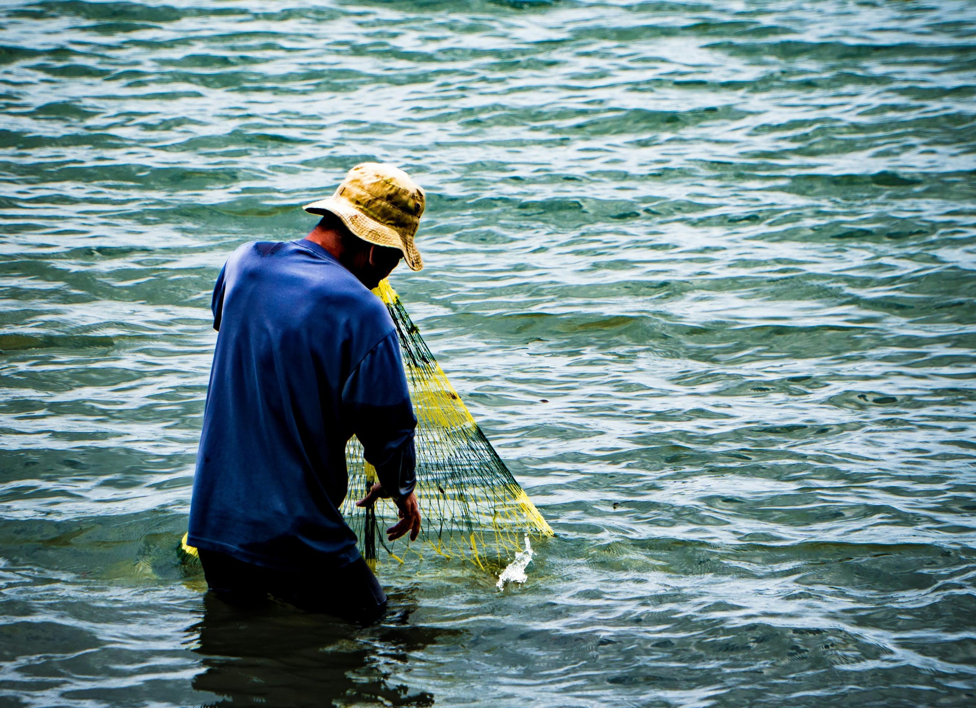 唐山水產(chǎn)養(yǎng)殖App開(kāi)發(fā)，打造智能化魚(yú)塘管家